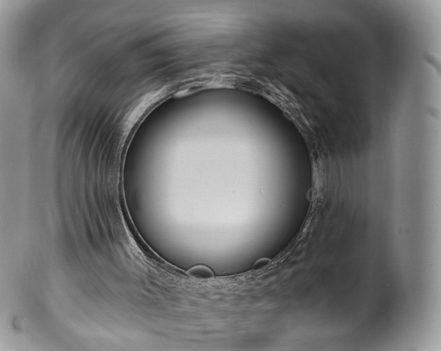 X0000100410003200806131046