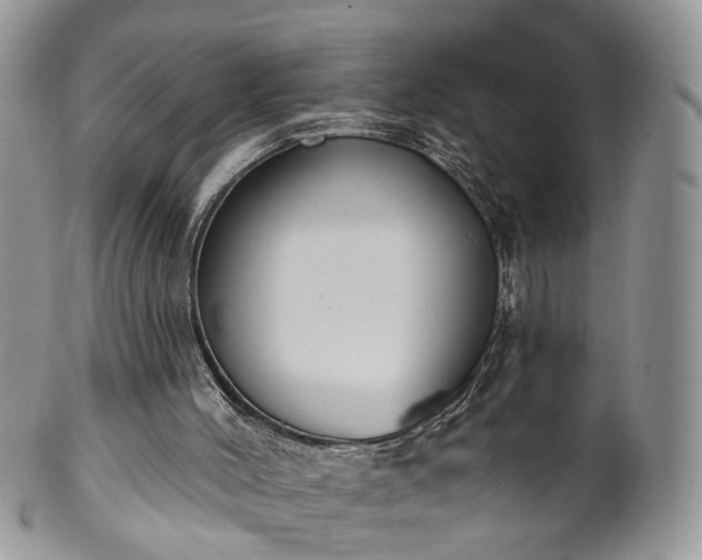 X0000100410004200806131046