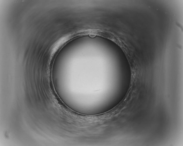 X0000100410006200806131046