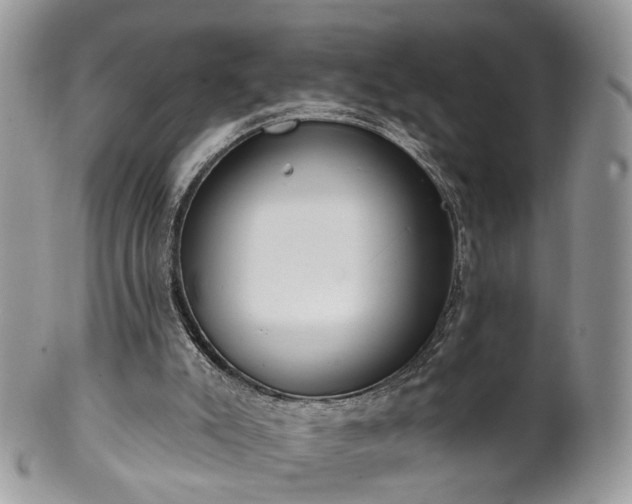 X0000100410007200806131046