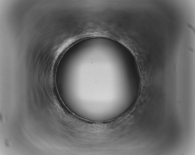 X0000100410008200806131046