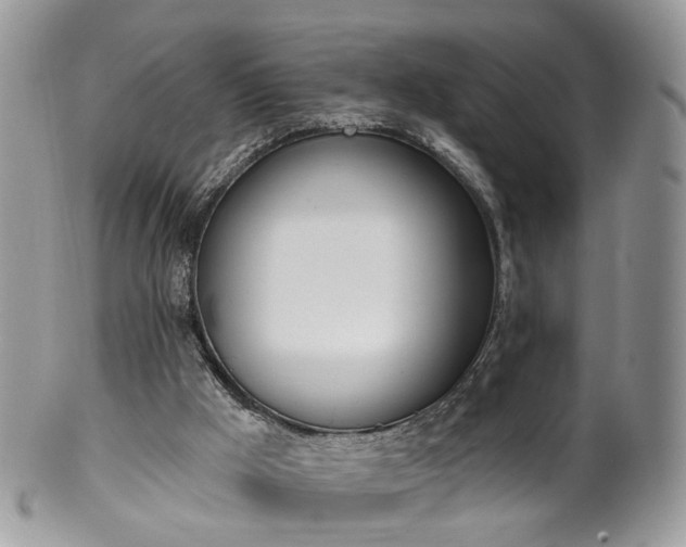 X0000100410009200806131046