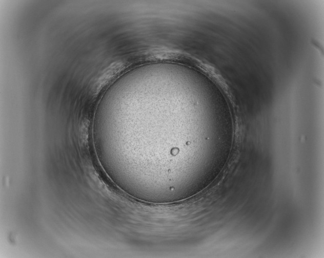 X0000100410010200806131046