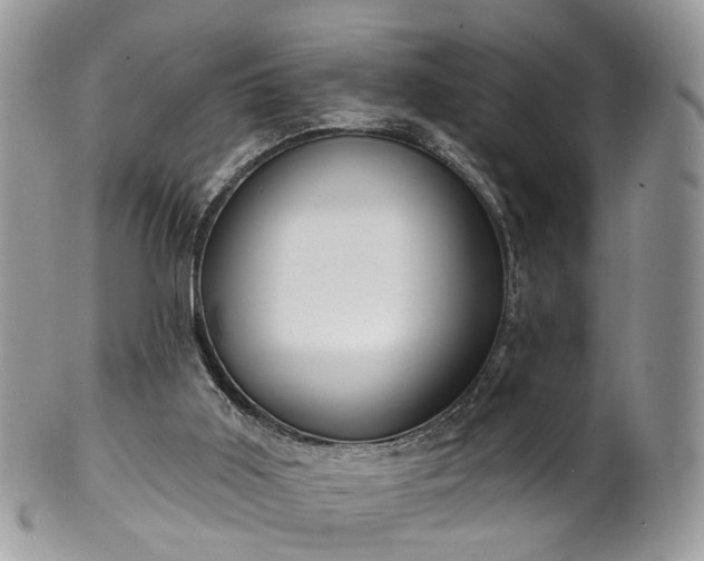 X0000100410011200806131046