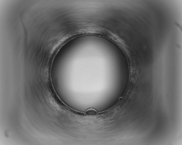 X0000100410012200806131046