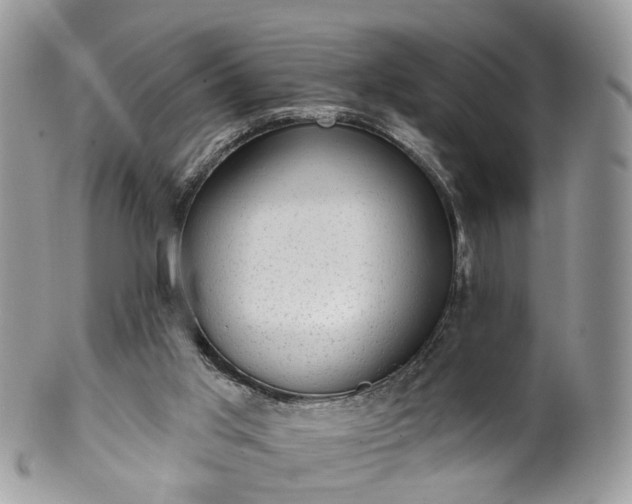 X0000100410013200806131046