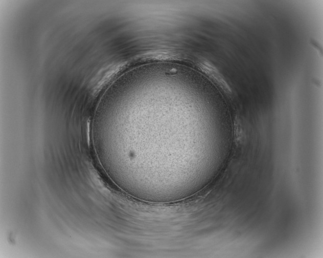 X0000100410014200806131046