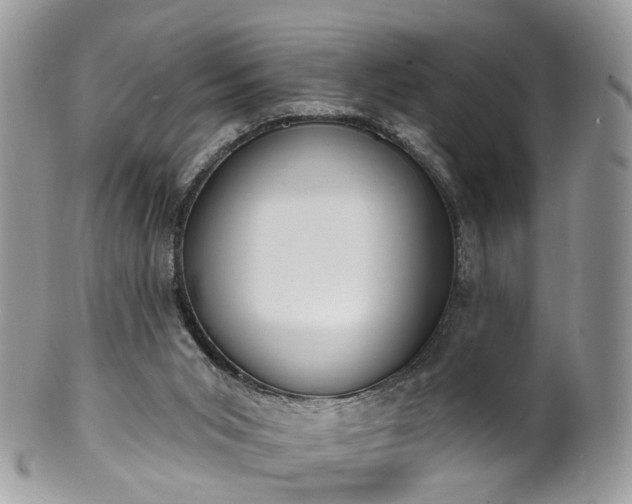 X0000100410015200806131046