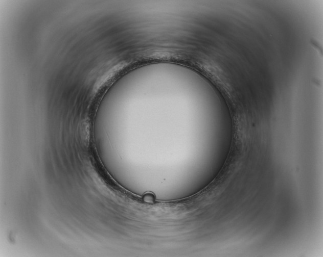 X0000100410016200806131046