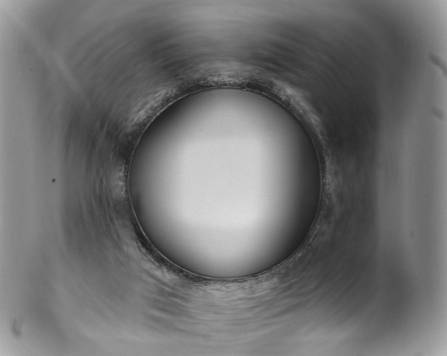 X0000100410017200806131046