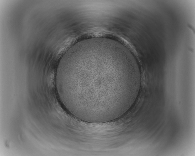 X0000100410018200806131046