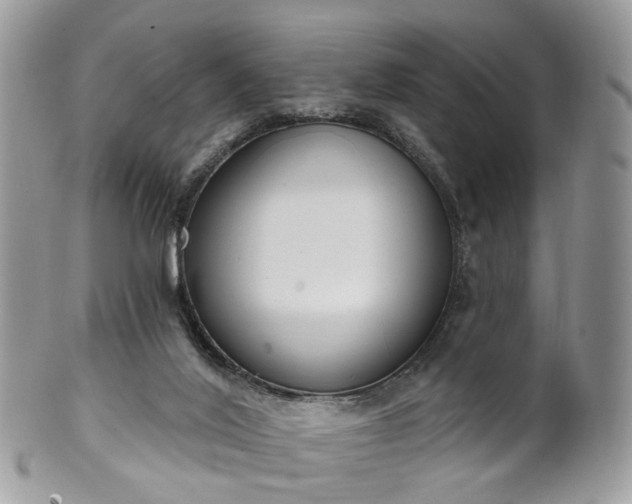 X0000100410020200806131046