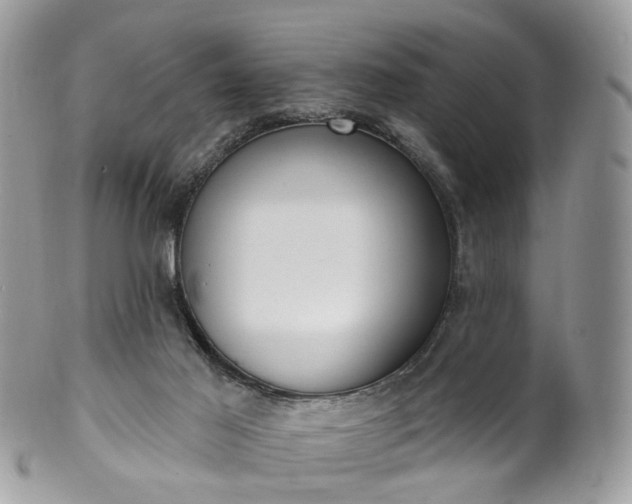 X0000100410021200806131046