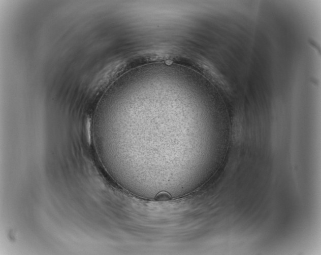 X0000100410022200806131046