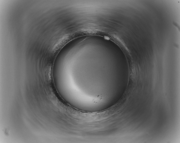 X0000100410023200806131046