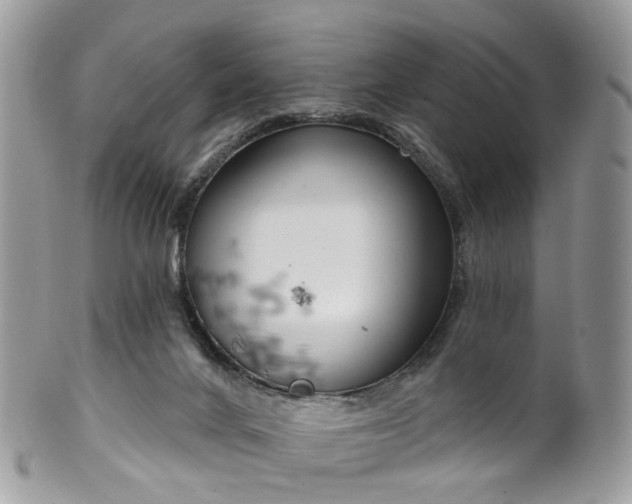 X0000100410024200806131046