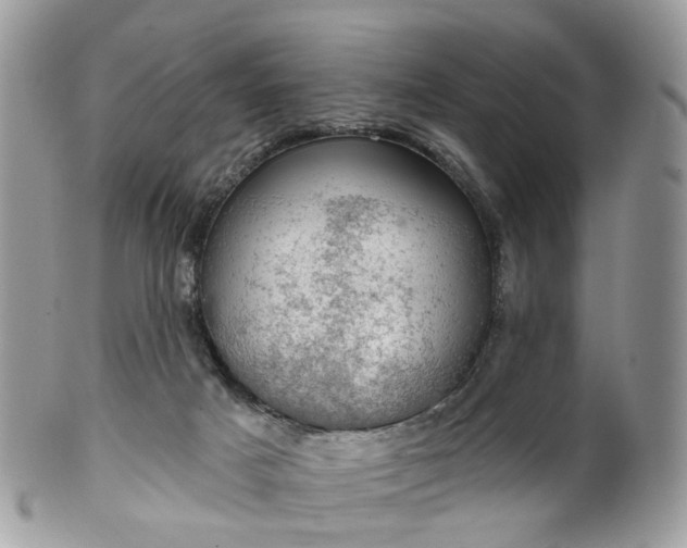 X0000100410025200806131046