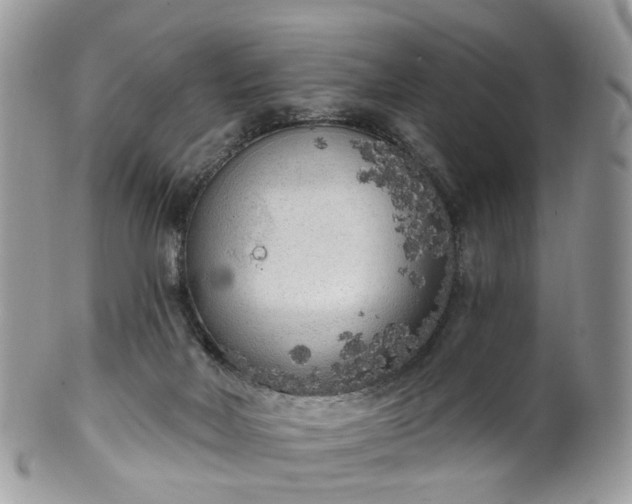 X0000100410026200806131046