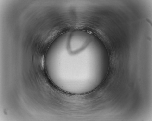 X0000100410028200806131046