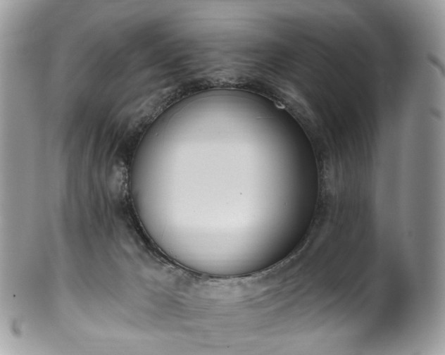 X0000100410029200806131046