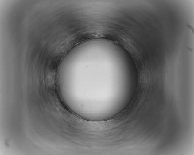 X0000100410030200806131046