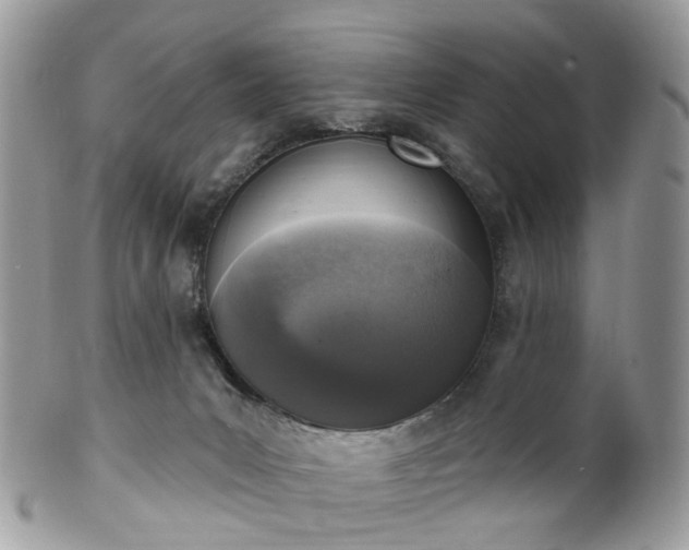 X0000100410031200806131046