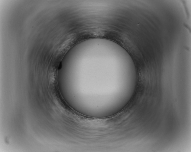 X0000100410032200806131046