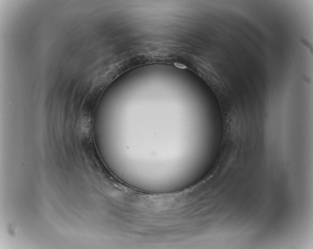 X0000100410033200806131046