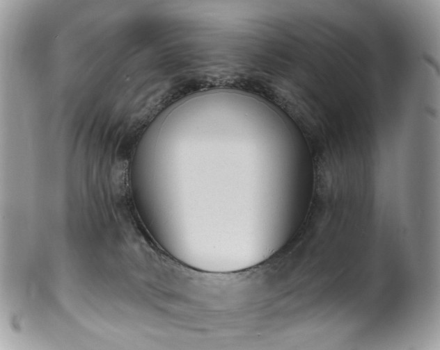 X0000100410034200806131046