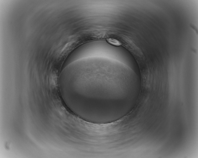 X0000100410035200806131046