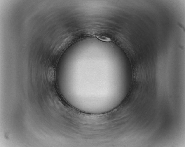 X0000100410036200806131046