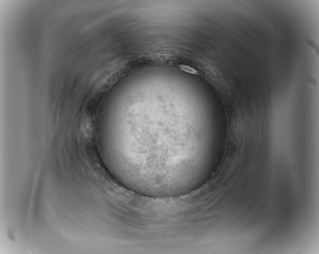 X0000100410037200806131046