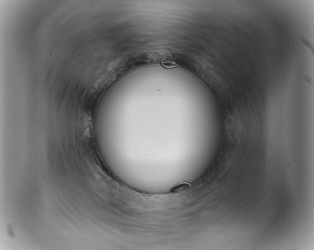 X0000100410038200806131046