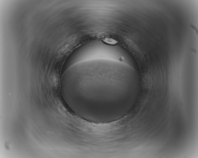 X0000100410039200806131046