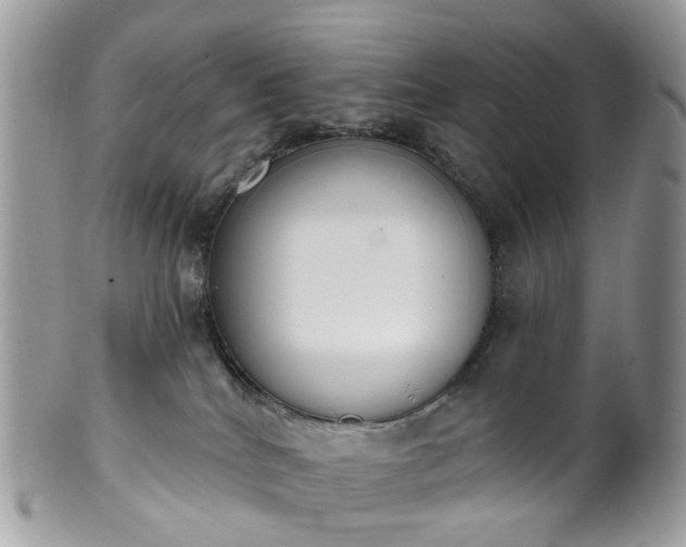 X0000100410040200806131046