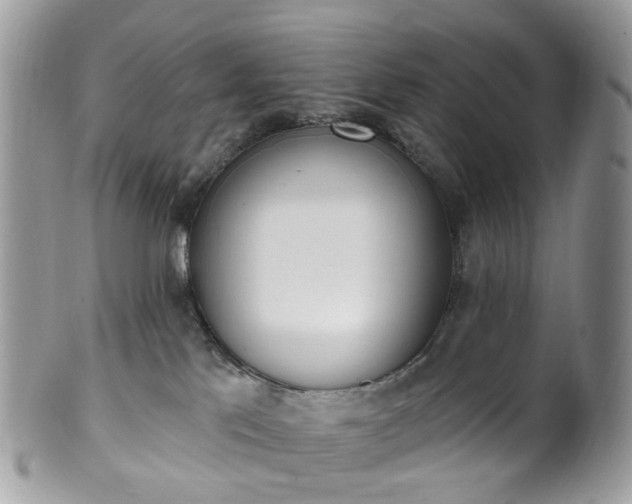 X0000100410041200806131046