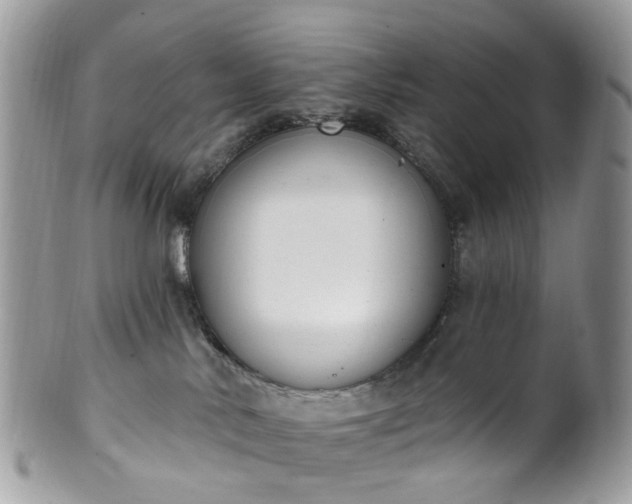 X0000100410042200806131046