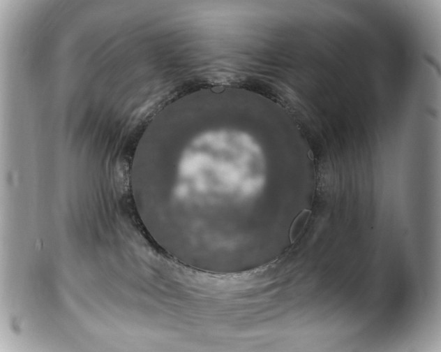 X0000100410043200806131046