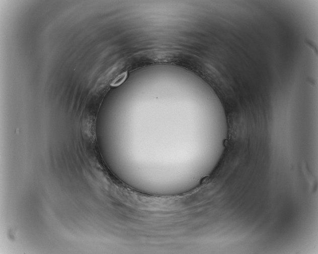 X0000100410044200806131046