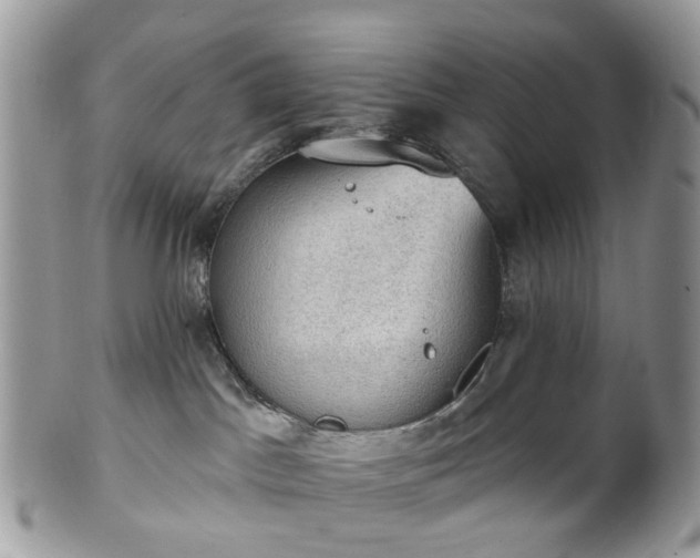 X0000100410045200806131046