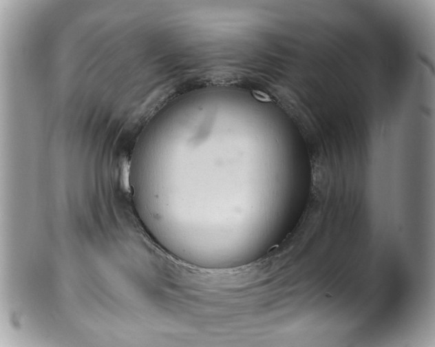 X0000100410046200806131046