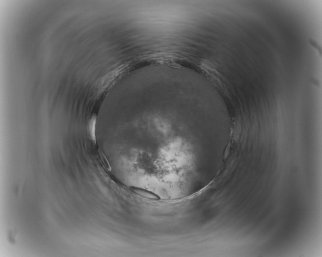 X0000100410047200806131046