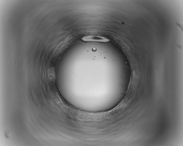 X0000100410048200806131046