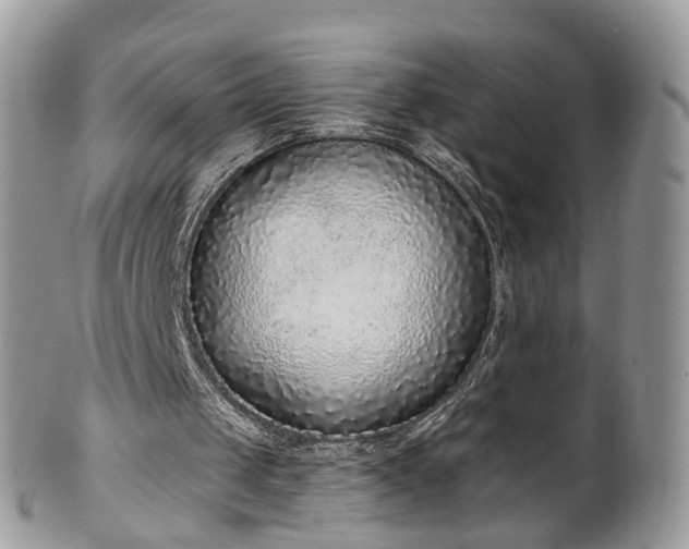 X0000100410049200806131045