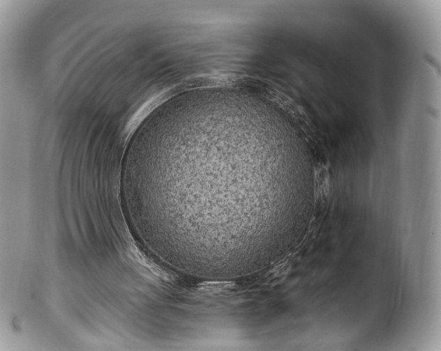 X0000100410051200806131045