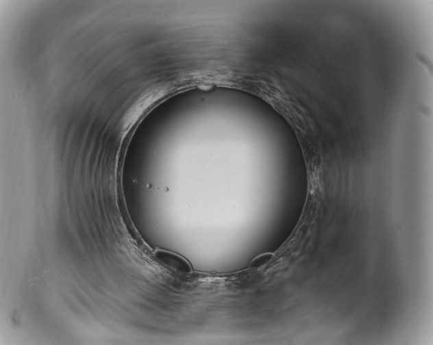 X0000100410052200806131045