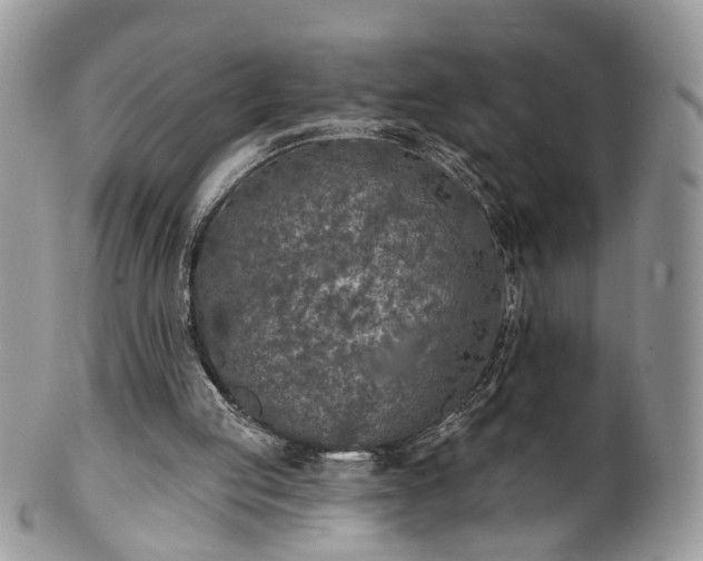 X0000100410053200806131045