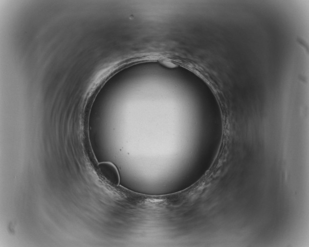 X0000100410055200806131045