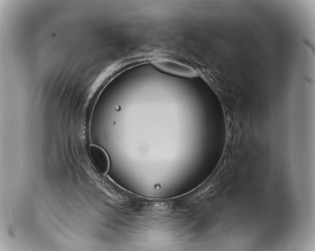 X0000100410056200806131045