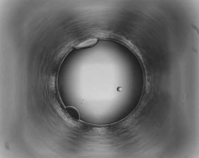 X0000100410057200806131045